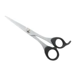 Regular Hair Scissors