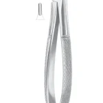 Fig. 13S lower premolars for