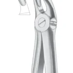 Fig. 18A upper molars