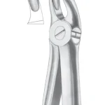 Fig. 18B upper molars