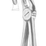 Fig. 18 upper molars, left