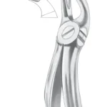 Fig. 19 upper third molars