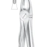 Fig. 2 upper laterals and canines