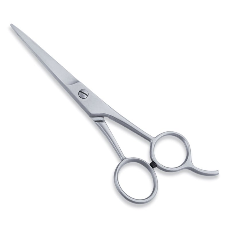 Economy Hair Scissors