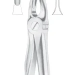 Fig. 3 upper incisors and canines