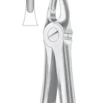 Fig.2 Upper Laterals & Canines
