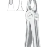 Fig. 3 upper incisors & canines