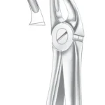 Fig. 7 upper premolars
