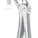 Fig. 4 upper incisors & canines