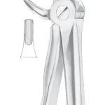 Fig. 13 lower premolars