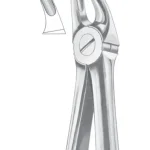 Fig. 7 upper premolars