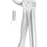 Fig. 13S lower premolars for children