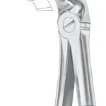 Fig. 8 lower premolars