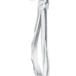 Fig. 17 upper molars right
