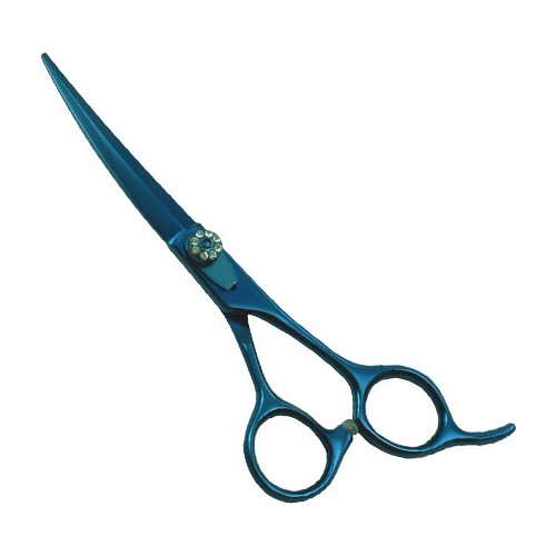 Blue Coated Scissors / Shears