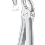 Fig. 18 upper molars left